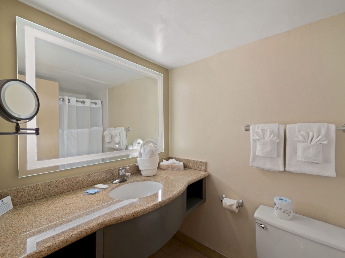 A modern bathroom with a large mirror, sink, towels, a toilet, and a shower curtain. The countertop has a few amenities, including a mirror.