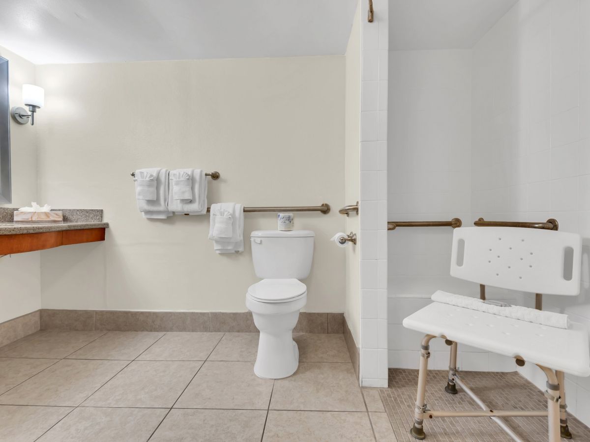 The image shows an accessible bathroom with a toilet, a countertop sink, wall-mounted towels, support bars, and a shower chair.