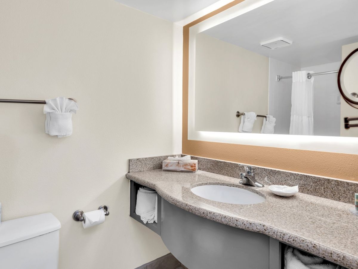 A clean, modern bathroom with a large mirror, a granite countertop with a sink, a toilet, a mounted towel rack, and a wall-mounted magnifying mirror.